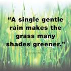 A Single Gentle Rain - Henry Thoreau Quote (Light)