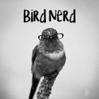 Bird Nerd - Hummingbird