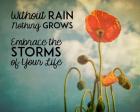 Without Rain Nothing Grows Color