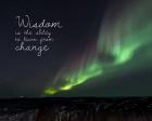 Wisdom Is The Ability To Learn From Change - Night Sky Aurora