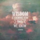 Wisdom is Knowing How Little We Know - Pink Clouds