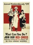 Join Our Red Cross Annual Membership
