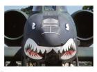 A-10 Thunderbolt II Shark Face