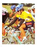 Yvan Gotti  Tour de France 1995