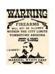 Firearms Warning Poster