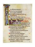 Initial L from Psalm 118, verse 109th In Albani Psalter