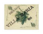 Casteletes label wine, Villa Maria