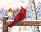 Cardinal Pair with Birch