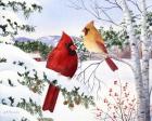 Cardinals And Hemlock Tree
