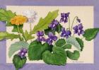 Dandelion And Violets