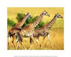 The Three Giraffe Sisters
