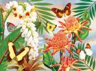 Butterflies With Torch Ginger