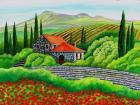 Tuscany Poppies