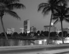 Night View Skyline With Palm Trees Miami Florida