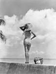 Woman Standing On Tropical Beach Wall