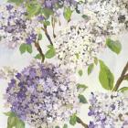 Summer Hydrangea I