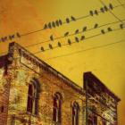 Birds on a Wire I