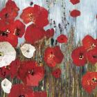 Passion Poppies I