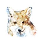 Watercolour Fox