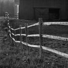 Barn Fence