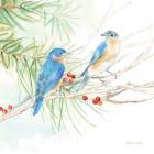 Winter Birds III Bluebirds