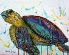 Sea Turtle w/paint splotches