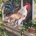 French Country Rooster