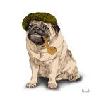 Pugs in Hats II