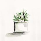 Potted Botanicals IV