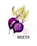 Veggie Sketch III-Beets