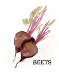 Veggie Sketch IV-Brown Beets