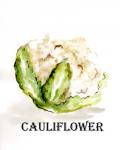 Veggie Sketch VI-Cauliflower