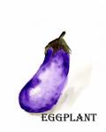 Veggie Sketch VII-Eggplant