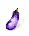 Veggie Sketch plain VII-Eggplant