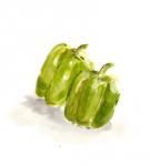 Veggie Sketch plain VIII-Green Pepper