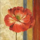 Poppy Tapestry Stripes II