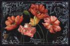 Flowers in Bloom Chalkboard Landscape