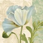 Pastel Poppies IV