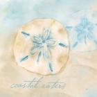 Watercolor Shell Sentiments IV
