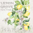 Lemon Grove II