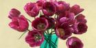 Red Tulips in a Glass Vase (detail)