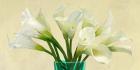 White Callas in a Glass Vase (detail)