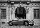 Luxury Car in front of Classic Palace (BW)
