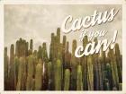Cactus If You Can