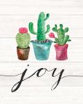 Cacti Joy