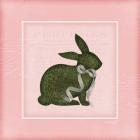 Bunny II - Pink