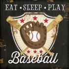 Eat, Sleep, Play, Baseball