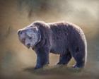 Grizzly Bear Boar
