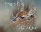 Dream Big Dear