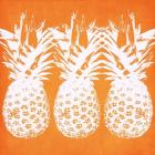 Orange Pineapples